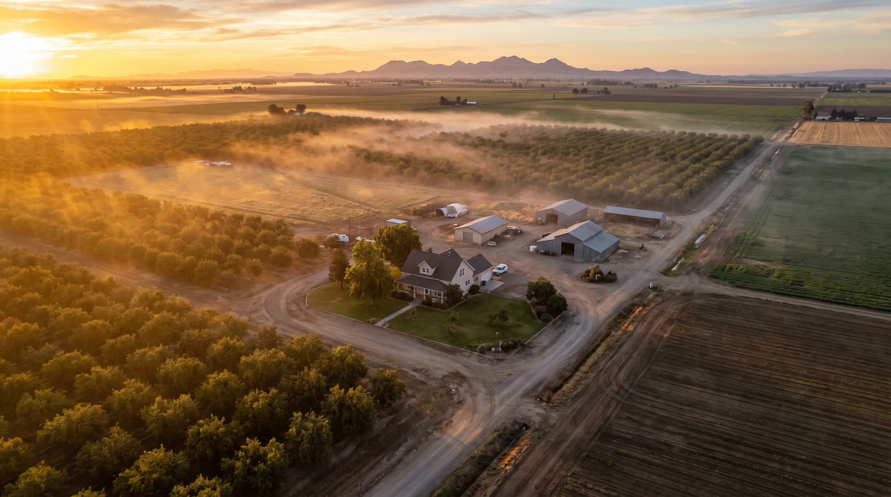 Vista aérea de una casa de rancho rodeada de huertas de nuez en Yuba-Sutter al amanecer