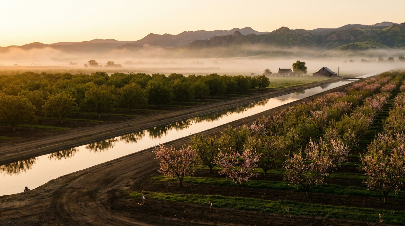 Huertas y campos del valle de Yuba-Sutter al amanecer